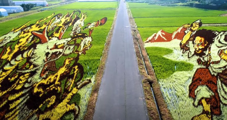 This Japanese Village Grows Beautiful Murals Made of Different Colored Rice