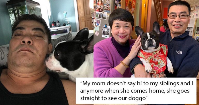 Meet the Asian Parents Who Initially Hated Pets But Are Now Pawsitively in Love