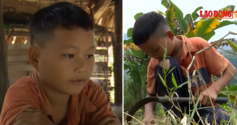 10-Year-Old Vietnamese Boy Survives Alone By Farming After His Dad and Grandma Die