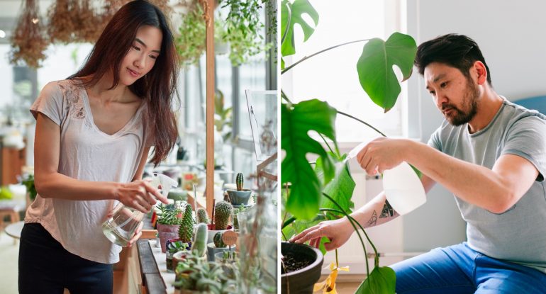 7 Indoor Plants That Are Hard to Kill (Hopefully)
