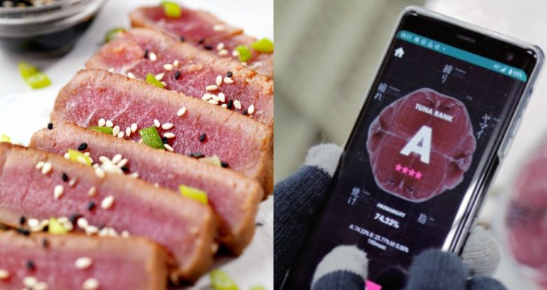 Japanese App Uses AI to Grade the Quality of Your Tuna