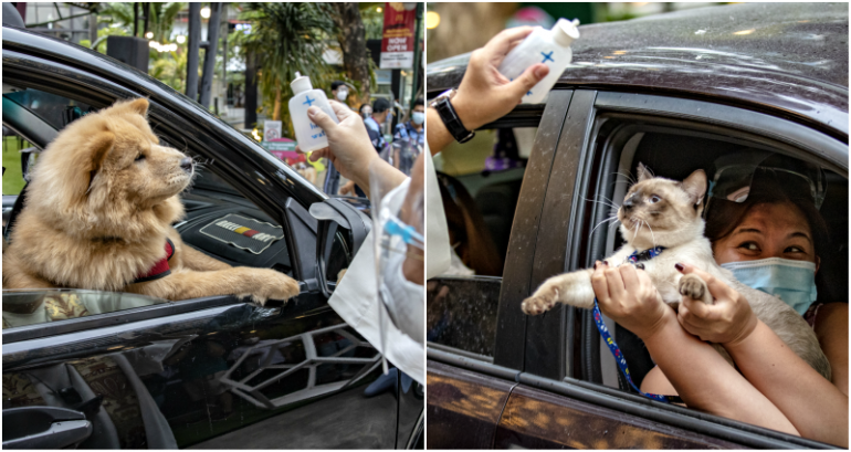 Drive-Through Pet Blessing Held in the Philippines