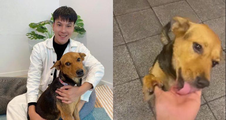 Thai Man Adopts Dog He Brought Home While Drunk