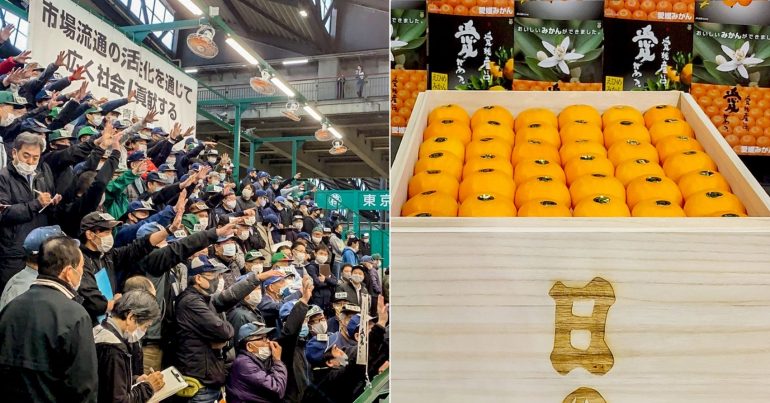 Crate of Special Japanese Oranges Sells for $9,600 at Auction