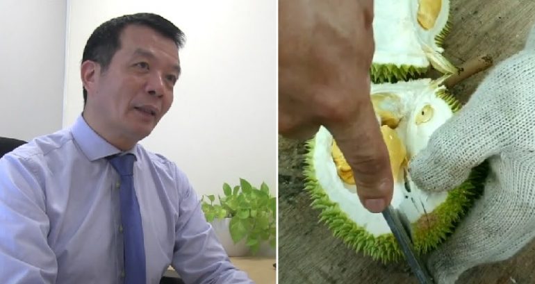 Singaporean scientists develop novel way to turn durian waste into superior antibacterial bandages