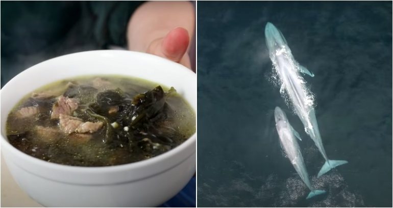 Why do Koreans eat seaweed soup on their birthdays? The answer ‘whale’ surprise you