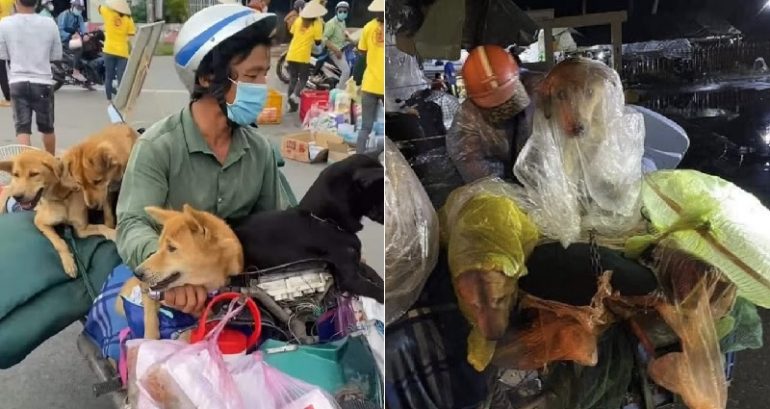 Vietnamese health official resigns after backlash over drowning, burning of couple’s dogs due to COVID-19