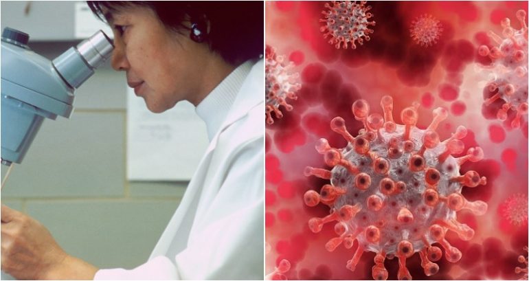 Japanese scientists develop radical new vaccine that could prevent future coronavirus pandemics