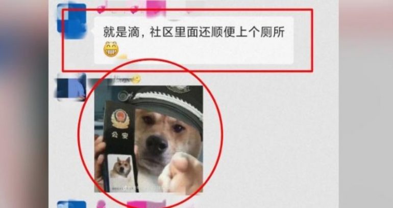 Man detained for 9 days by Chinese police for sharing ‘insulting’ meme of dog wearing a police hat