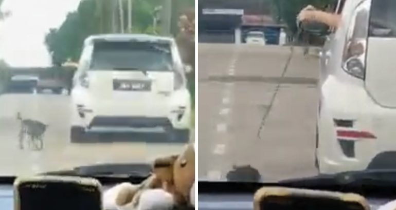 Malaysian authorities investigating driver who was filmed dragging his dog alongside his moving car