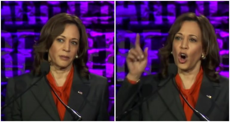 ‘How dare they’: VP Harris gives fiery speech on Republican push to overturn abortion rights