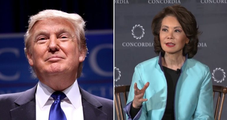 Trump calls Elaine Chao ‘Coco Chow’ in latest attack on Mitch McConnell