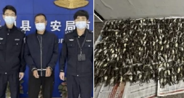 Man in China arrested for killing 1,000 birds ‘for hotpot’