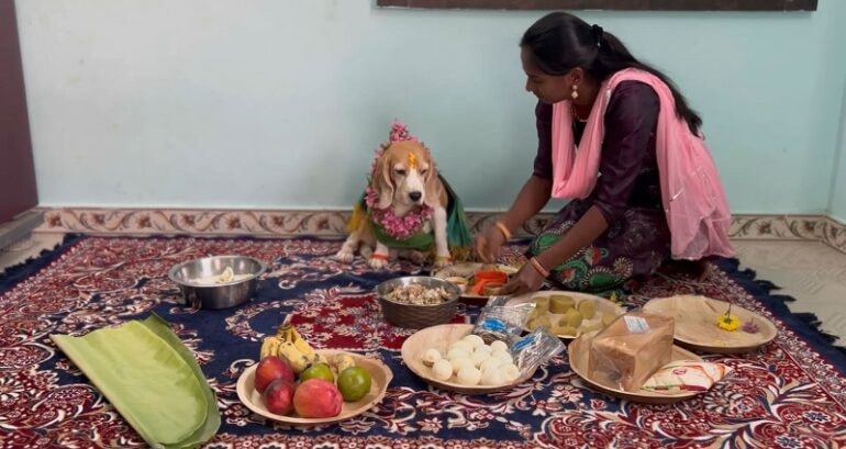 Viral video of Indian dog’s baby shower cures netizens’ ruff day