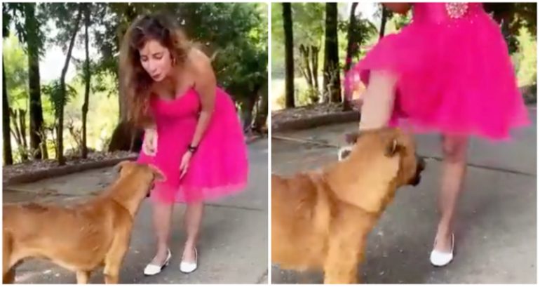 Indian influencer faces backlash for kicking dog in Instagram reel