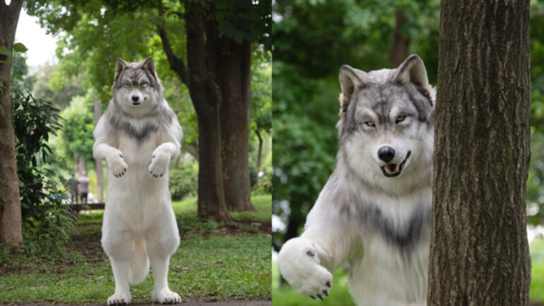 Man spends almost $23,000 on realistic costume to fulfill his dream of becoming a wolf
