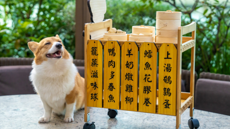 Hong Kong hotel offers dim sum cart for dogs