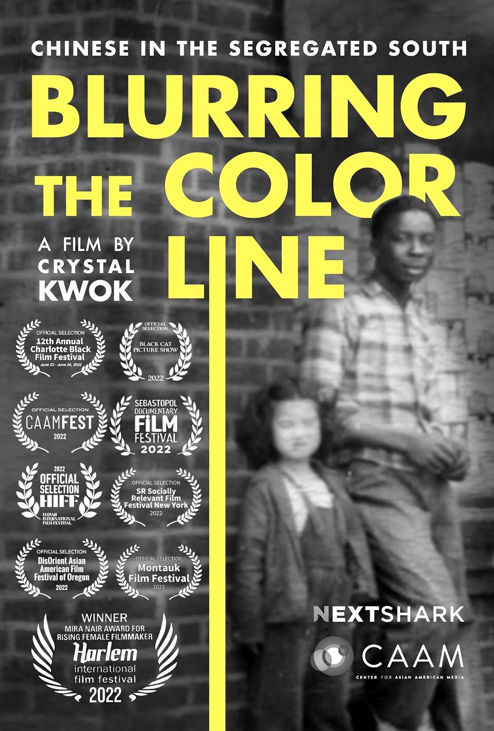 Blurring the Color Line poster