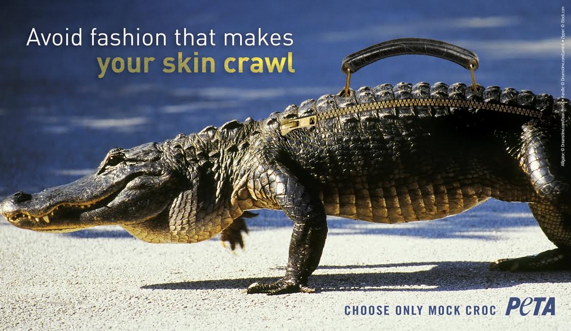  credits: alligator: © iStock.com/JoLin, zipper: © Dreamstime/Dean Perrus, handle: © Dreamstime/Luminis