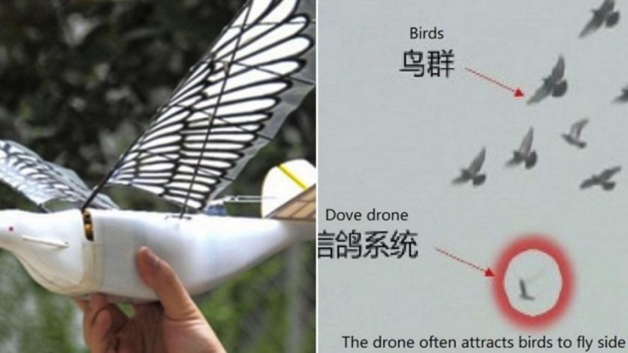 bird spy drone