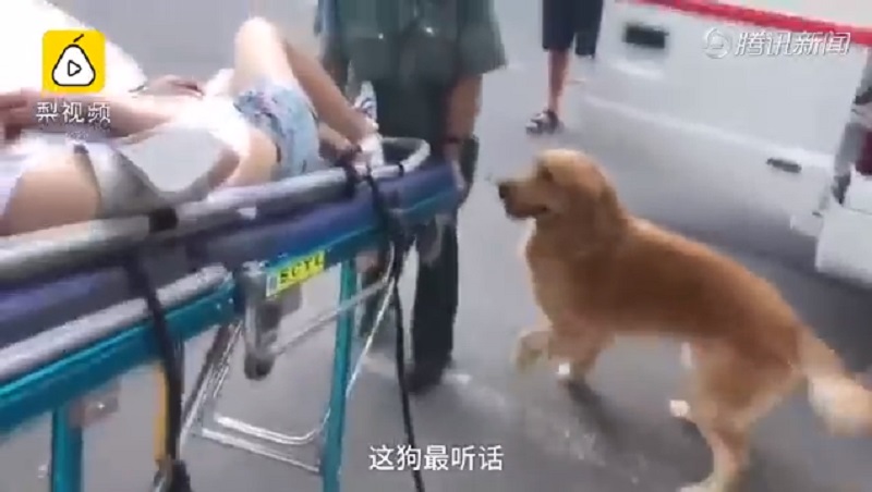 Dog women sex in Daqing