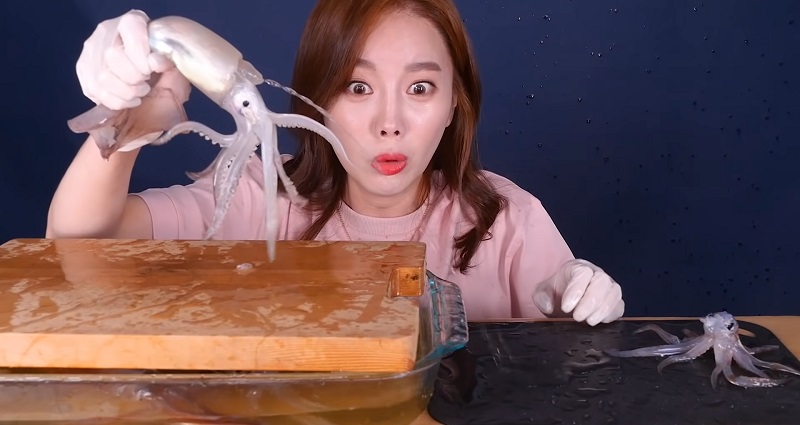 Korean Mukbang Youtuber Accused Of Torturing Animals Before Eating Them On Camera Haemul pajeon (seafood scallion pancake). korean mukbang youtuber accused of