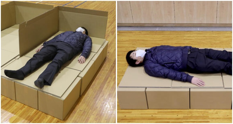 cardboard bed